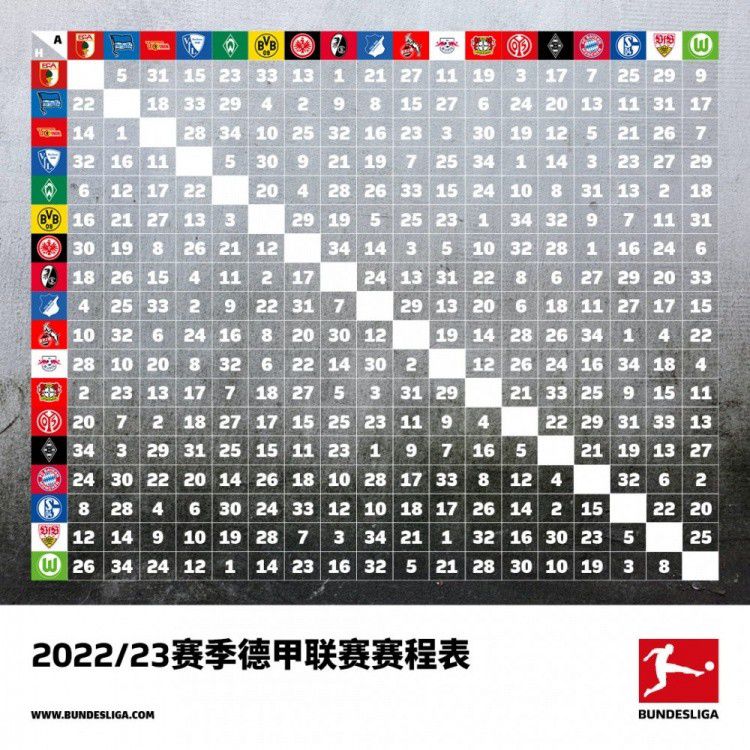 影片将以海贼届的祭典;海贼世博会为舞台展开故事，大Boss是前罗杰海贼团成员;魔鬼后嗣道格拉斯;巴雷特，而特拉法尔加;罗、斯摩格、达斯琪、巴基&MR3&亚尔丽塔等人也会亮相